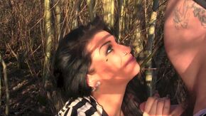 Жаркая брюнетка сосет на природе